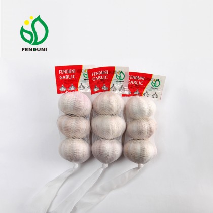 2022 china small garlic/buyer of garlic