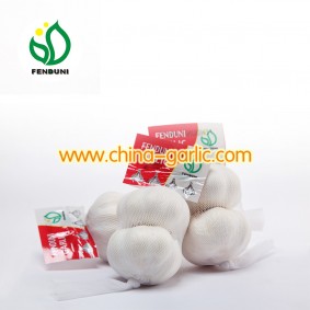 China Garlics 1p/2p/3p/4p/5p/6p