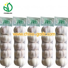 Shandong Garlic, Orangic Garlic 500g per bag