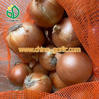 Yellow Onions in 10kg bag