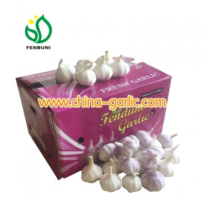 2022 china small garlic/buyer of garlic